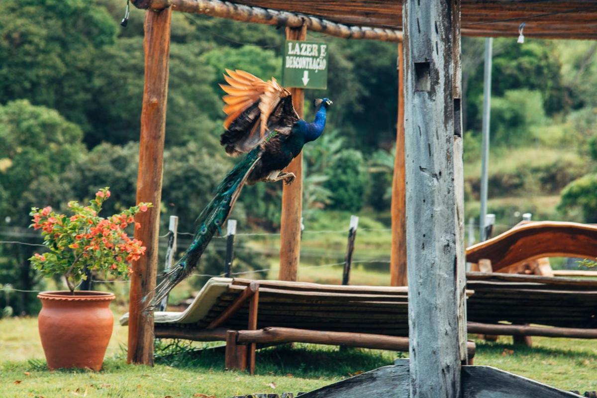 Hotel Fazenda Pedra Do Rodeadouro Bonito  Luaran gambar